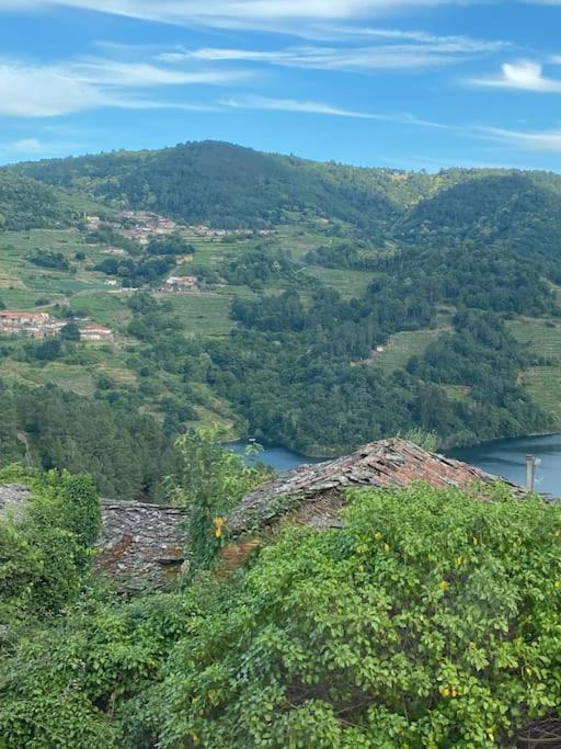 Casa Do Feligres E Da Alsira Villa Nogueira de Abaixo ภายนอก รูปภาพ